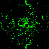 TXTR1699.GIF