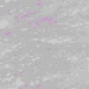 TXTR4318.GIF