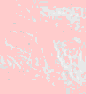 TXTR4019.GIF