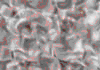 TXTR3519.GIF