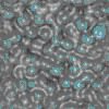 TXTR1458.GIF