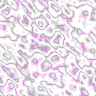 TXTR1024.GIF