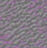 TXTR0865.GIF