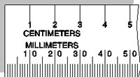 RULER1.WMF
