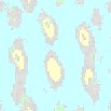 TXTR0443.GIF