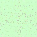 TXTR0341.GIF