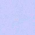 TXTR0217.GIF