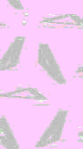 TXTR0152.GIF