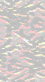 TXTR0139.GIF