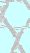 TXTR0134.GIF