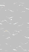 TXTR0095.GIF