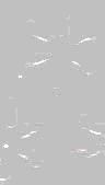 TXTR0094.GIF