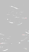 TXTR0089.GIF