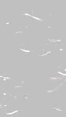 TXTR0088.GIF