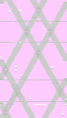 TXTR0076.GIF