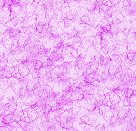 TXBCK39.GIF