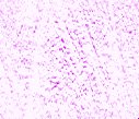 NEWBACK4.GIF