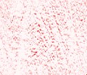 NEWBACK3.GIF