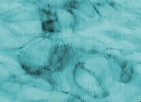 NEWBAC13.GIF