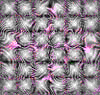TXTR4137.GIF