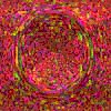 TXTR4086.GIF