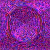 TXTR4080.GIF