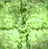 TXTR4078.GIF
