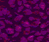 TXTR4067.GIF