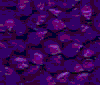 TXTR4064.GIF