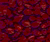 TXTR4062.GIF