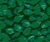 TXTR4061.GIF