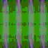 TXTR4059.GIF