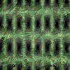 TXTR4042.GIF