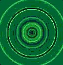 TXTR4029.GIF
