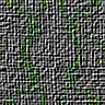 TXTR2038.GIF