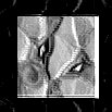 TXTR0927.GIF