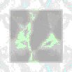 TXTR0745.GIF