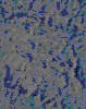 TXTR3979.GIF
