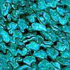 TXTR3940.GIF