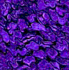 TXTR3939.GIF