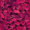 TXTR3937.GIF