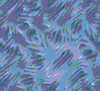 TXTR3932.GIF