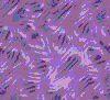 TXTR3930.GIF