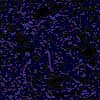 TXTR3924.GIF