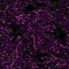 TXTR3923.GIF