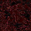 TXTR3922.GIF