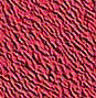 TXTR3911.GIF