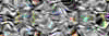 TXTR3849.GIF