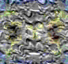 TXTR3838.GIF