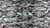 TXTR3836.GIF